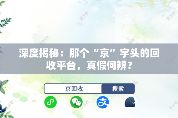 深度揭秘：那个“京”字头的回收平台，真假何辨？
