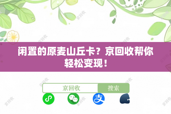 闲置的原麦山丘卡？京回收帮你轻松变现！